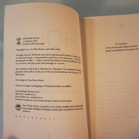 2 Books Getting the Love You Want A Guide for Couples & Holy Love - Picture 8 of 9